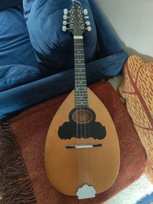 Flat back mandolin