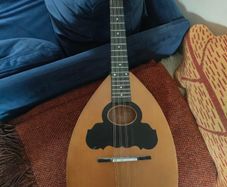 Flat back mandolin