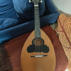 Flat back mandolin