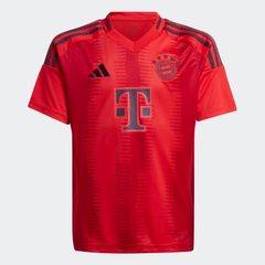 Adidas FC Bayern Munchen 2024/25, Men's Size - L