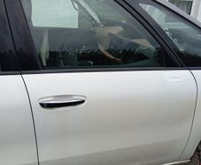 Driver's door