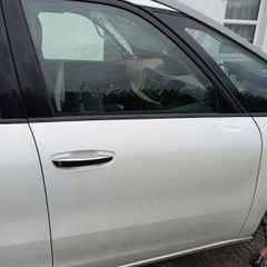 Driver's door