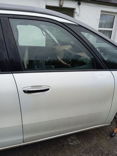 Driver's door