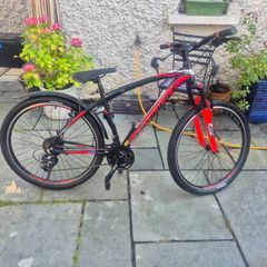 Kids mountain bike