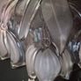 Vintage Walther Glas Sylvia Crystal Frosted hostess bowl Image 7