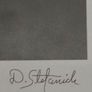 FINE ART SIGNED PRINT OF FRAMED Black & White Photograph by Dick/Diane Stefanich Calla Lily Image 3
