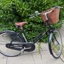 Pashley Princess Image 2