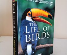 The Life of Birds by David Attenborough (HQ552)