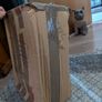 Wooden doll pram Image 5