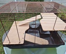 Hamster Cage