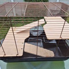 Hamster Cage