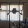 Pull Up Bars Image 3