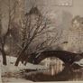 Large picture New York Central park Image 4