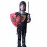 Knight boy kids costume 6-8 Image 4
