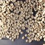 Freshly Roasted Coffee - Sound Coffee Image 5