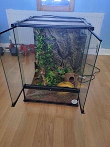 reptile glass home used as a snake house