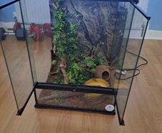 reptile glass home used as a snake house