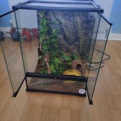 reptile glass home used as a snake house