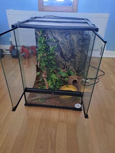 reptile glass home used as a snake house