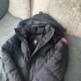 Canada goose Image 2