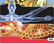 Biology Plus