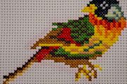 Embroidery