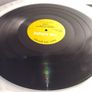 The Shaker - Strong To Survive - Ugly Bug Records - Pete SHAKER Bones CLASSIC! Image 8