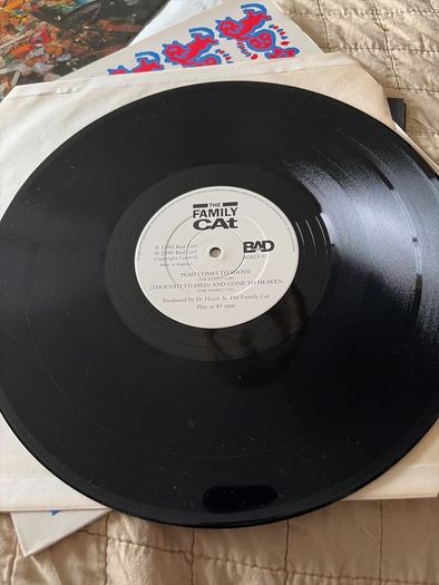 Family Cat - Remember what it is you love 12"