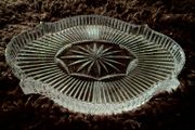 Waterford Crystal Seahorse Scalloped Oval Vanity Dresser Tray Relish Dish