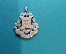 Gold   &  Silver   Medal