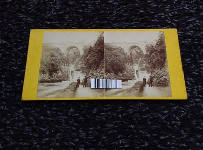 Antique Stereoview of Poolaphuca Waterfall , Co. Wicklow