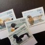 Ireland 2004.Flora/Fauna.Native Duck Stamp Set.Mint never hinged. Image 2