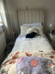 Single ottoman bed