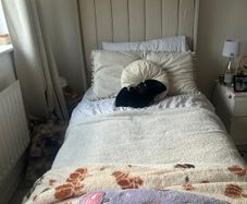 Single ottoman bed