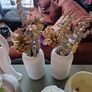 house clearance decor -- quick sale Image 5