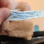 Build a Bear Small Plush Image 2