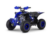 Elite 2026 Exhilarator-pro 110cc Petrol Junior Quad Bike