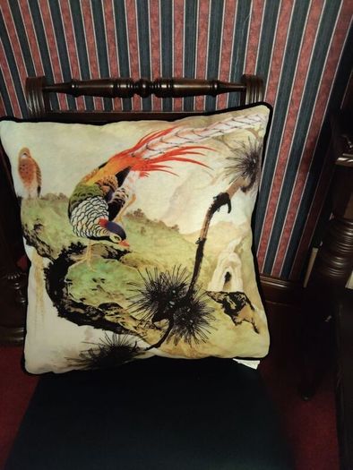 Cushions x5