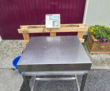 Platform Scales