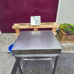 Platform Scales