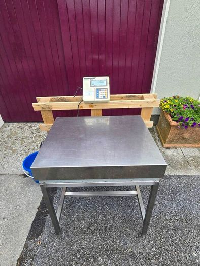 Platform Scales