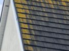 cleaning home inside/outside Image 8