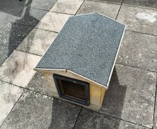 dog kennel
