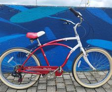 Beautiful Schwinn Cruiser Bike