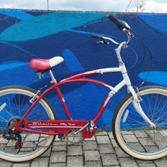 Beautiful Schwinn Cruiser Bike