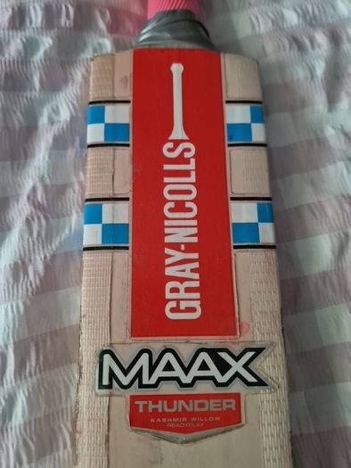Cricket batt