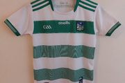limerick gaa jersey