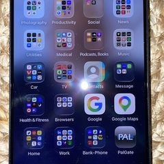 iPhone 17 Pro 256GB  Deep Blue  100Pct Battery  Apple Warranty Until 31 October  EUR1049