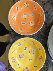 2 cat bowls