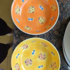 2 cat bowls